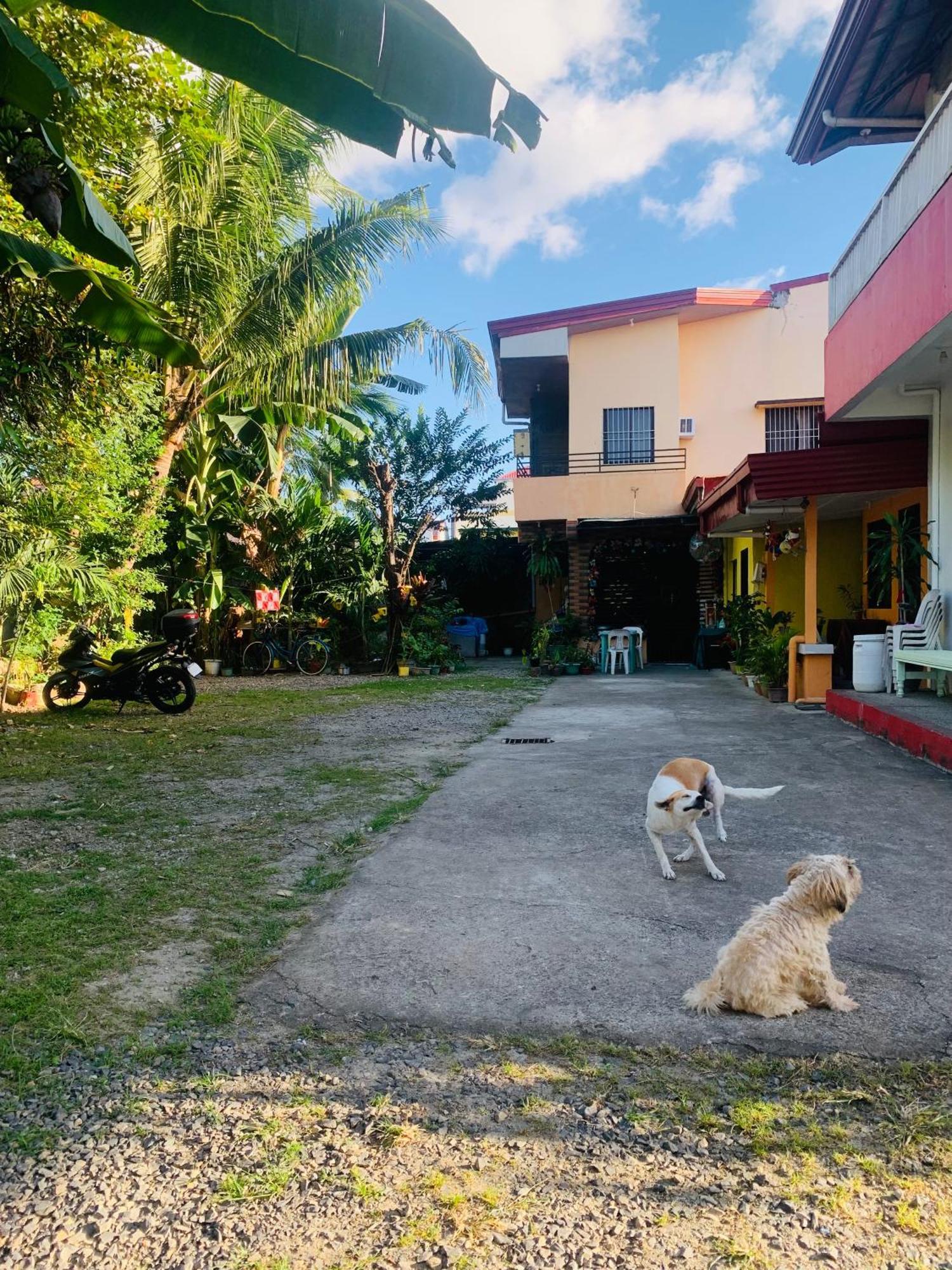 Perlies Inn Tanay Barkada House 外观 照片